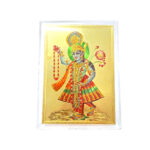 Yamuna Maharani ji Frame - Image 3